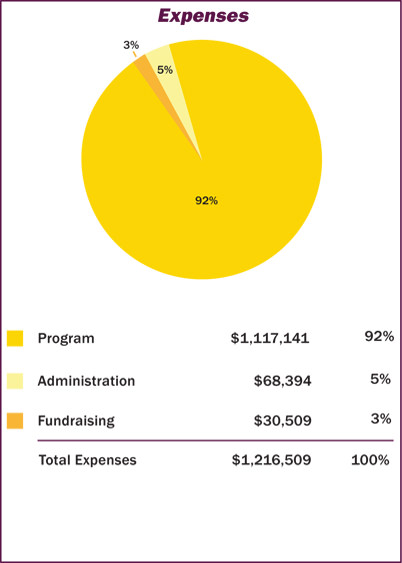 2012-financials-expenses